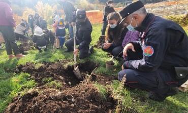 La scuola Primaria di Alfedena pianta un "bosco diffuso" con i Carabinieri Forestali