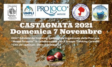 Castagnata 2021 a Carovilli, trekking al Bivacco CAI con il regista Pierluigi Giorgio