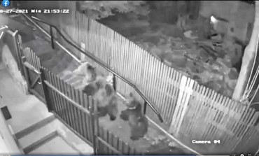 Orso attacca donna a Rivisondoli, la bufala scorre su Facebook