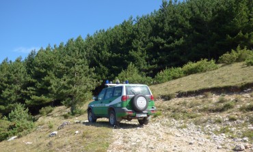 Carabinieri Biodiversità di Castel Di Sangro, lavori di rinaturalizzazione delle pinete