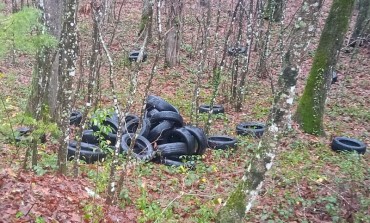 Smaltimento pneumatici usati, il "coglionazzo" li abbandona nel bosco