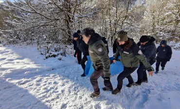 Roccaraso: Juan Carrito verrà trasferito a Palena, necessario per salvare l'orso da situazioni pericolose