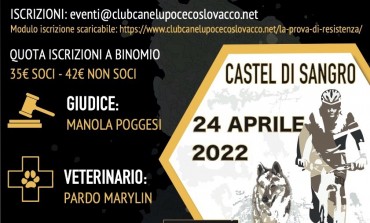 Cane Lupo Cecoslovacco, Castel Di Sangro ospita la prova di resistenza ENCI