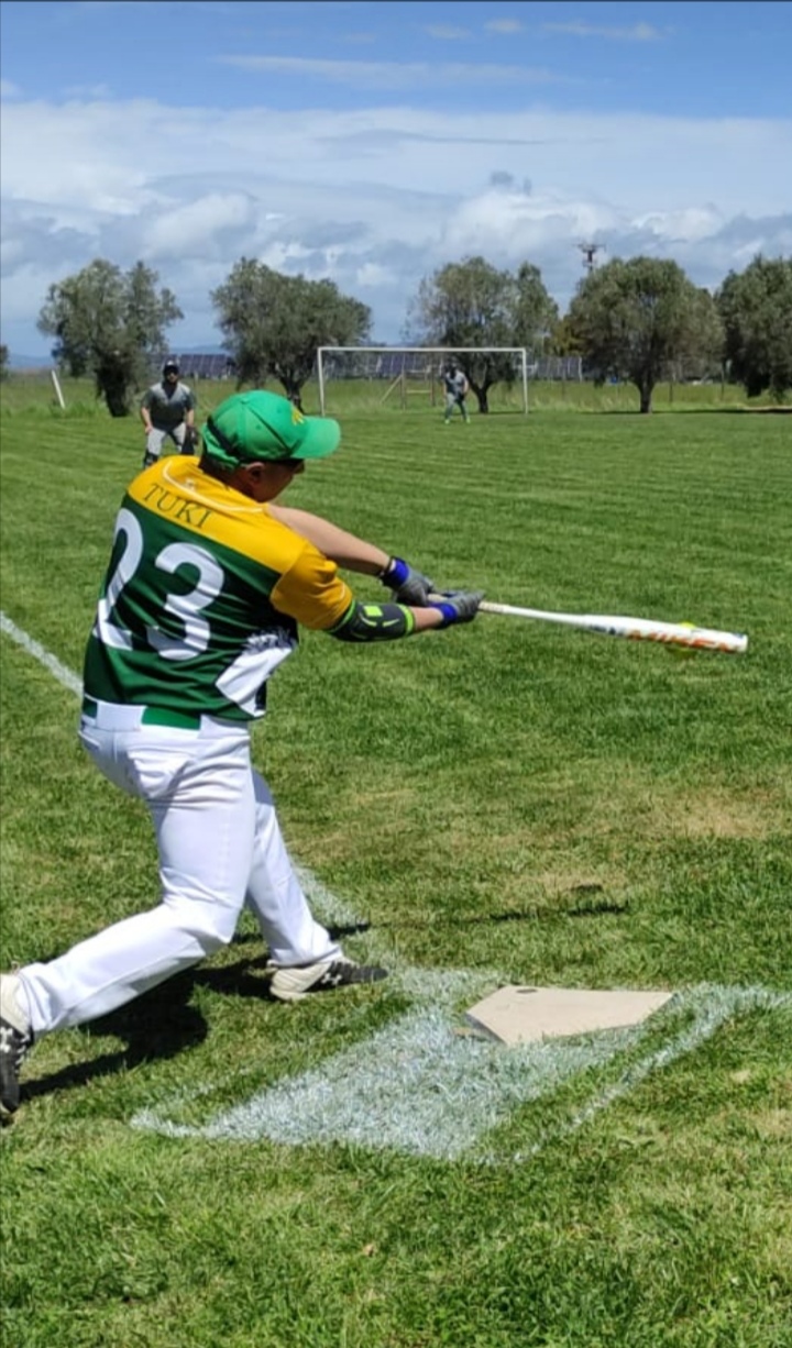 baseball soft pitch