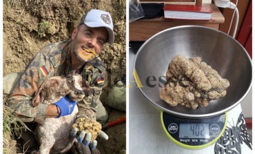 Trovato tartufo bianco di 400 grammi a 1,5 metri di profondità, un record singolare