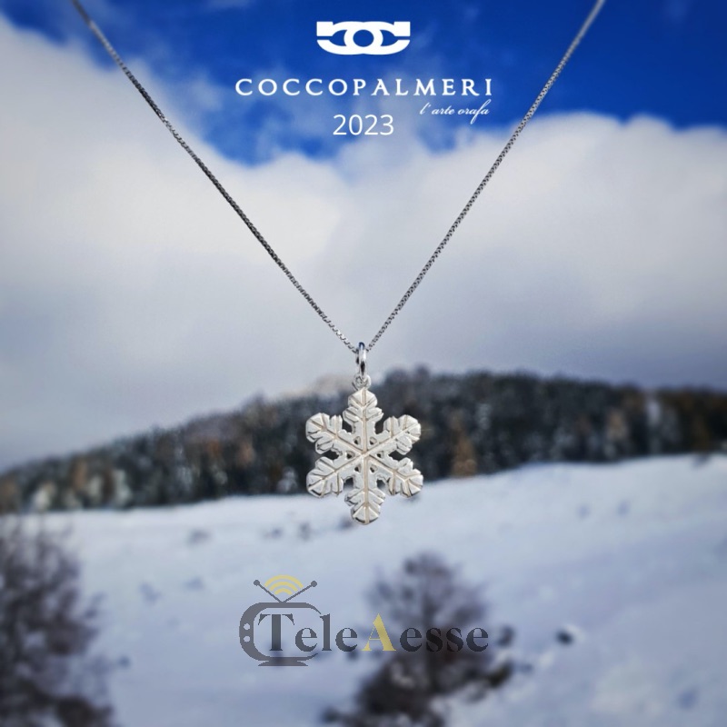 fiocco di neve coccopalmeri 2022 2023