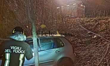 Incidente ad Opi: uomo di 50 anni evita animale selvatico sulla SS 83, trasportato in Ospedale