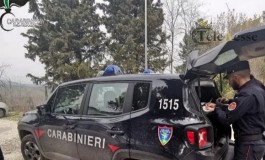 Zappatori e raccoglitori di tartufi acciuffati dai Carabinieri Forestali, denunce penali e multe salate