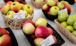 Le mele antiche di Castel del Giudice inaugurano la 6° Festa della Mela