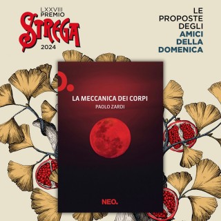 Paolo zardi premio strega