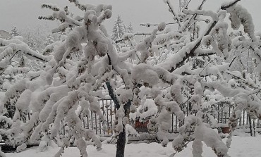 Neve in Abruzzo ad Aprile:  il clima impazzito e le conseguenze inquietanti sull'Ambiente