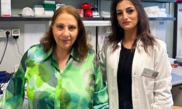 Dolore Neuropatico: Nuove Terapie, Scoperto il Ruolo Chiave delle Reti Perineuronali - Studio Neuromed su Pain