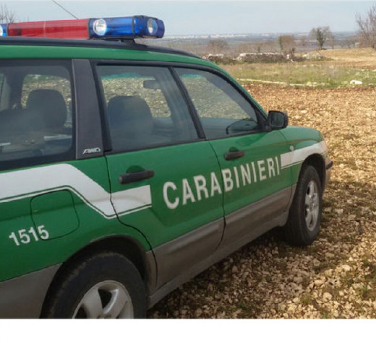 Video trappola di Carabinieri Forestali, acciuffato allevatore di Montenero Val Cocchiara