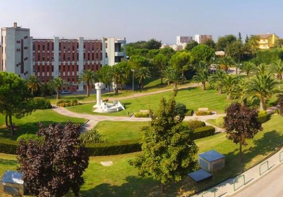 Mutismo selettivo, convegno all’Università di Chieti con la dottoressa Marta Di Meo