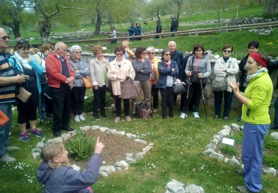 Capracotta, il giardino della flora appenninica apre alla giornata della biodiversità