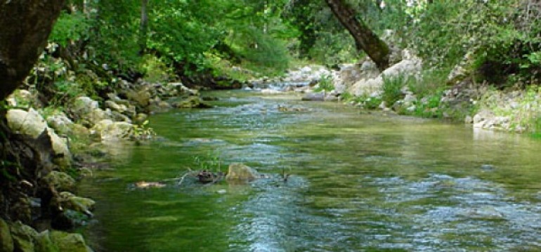 Maltempo, esonda il Trigno: rallentamenti sulla fondovalle