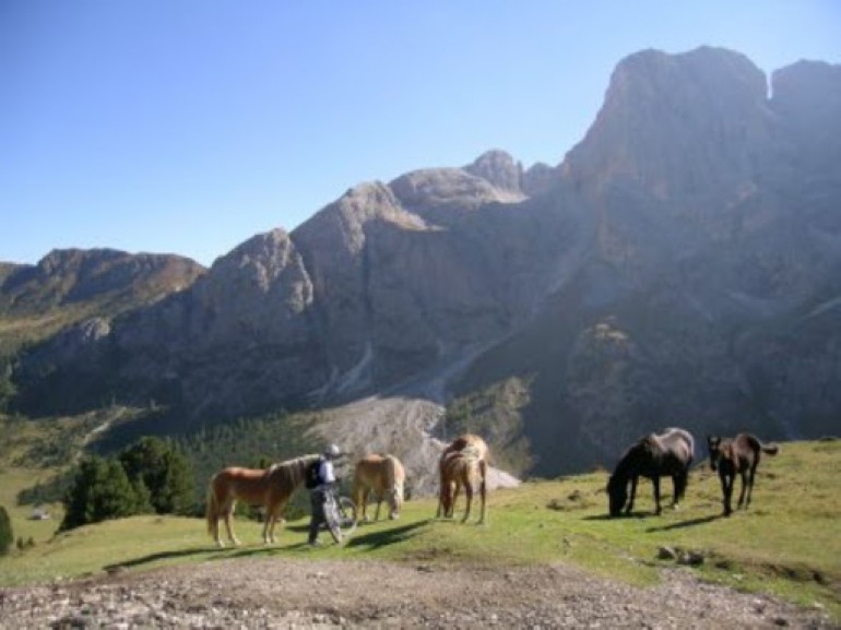 S.O.S. Parco regionale Sirente Velino, appello alla Regione Abruzzo di importanti personalità