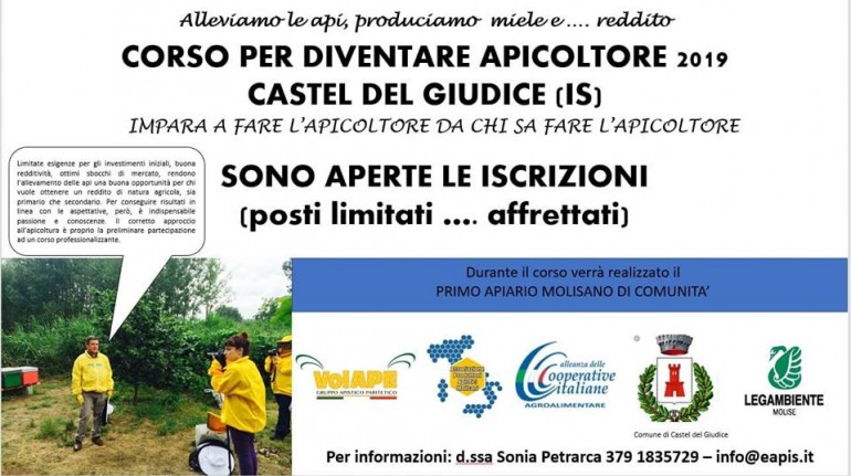 Castel del Giudice, nasce il primo apiario di comunità in Molise: al via il corso d’apicoltore