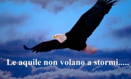 Le aquile non volano a stormi - di Giuseppe Battistella