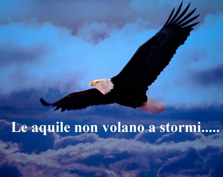 Le aquile non volano a stormi – di Giuseppe Battistella
