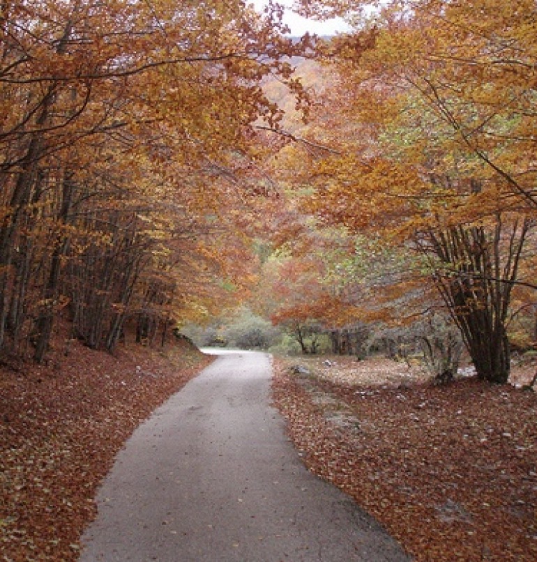 Strada Villavallelonga – fonte Aceretta: le associazioni ribadiscono la loro posizione