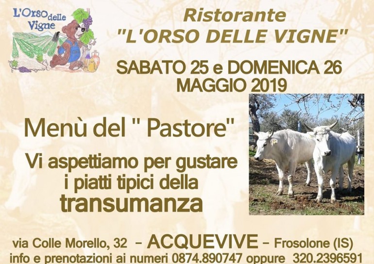 Acquevive di Frosolone capolinea della transumanza d’Italia, sabato tutti a pranzo dall’Orso delle Vigne