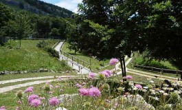 Capracotta, festa del Giardino flora appenninica