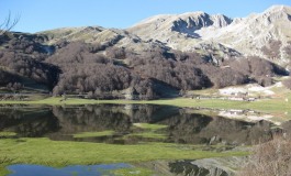 Campitello Matese: un Natale magico con due abeti e un villaggio natalizio
