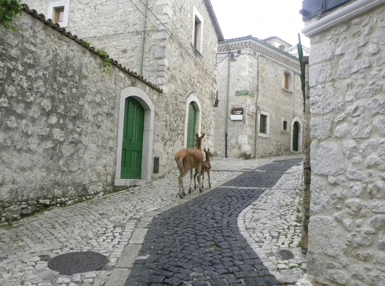 Civitella Alfedena: un borgo da favola in Abruzzo per l’autunno