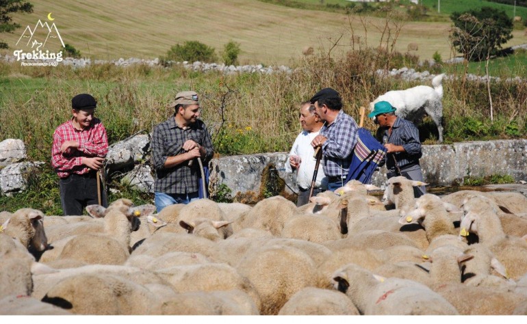 Vivi la transumanza a Pescocostanzo con A.M.A. Trekking : 27 agosto – 2 settembre