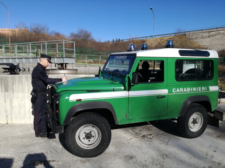 Reati ambientali, Carabinieri Forestali in azione a Carovilli e Agnone