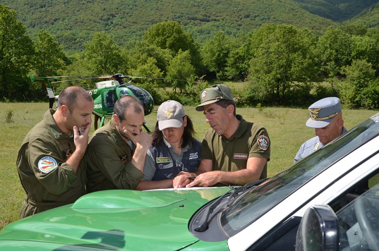 Morte lupo, Pnalm e Corpo Forestale: “Escludiamo l’uso del veleno”