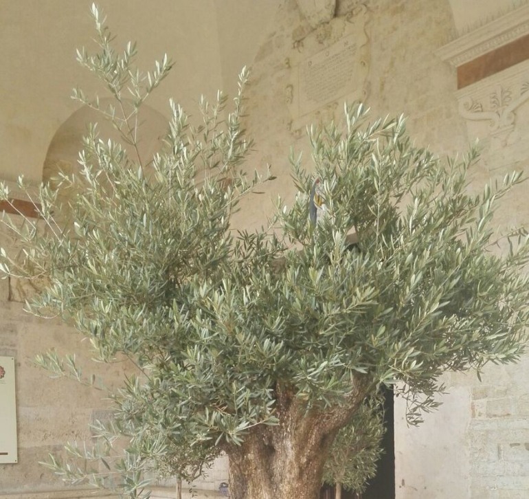 Buona Pasqua ai lettori di “Tutti giù per terra”