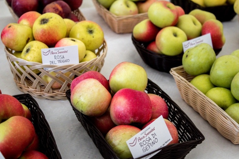 Le mele antiche di Castel del Giudice inaugurano la 6° Festa della Mela