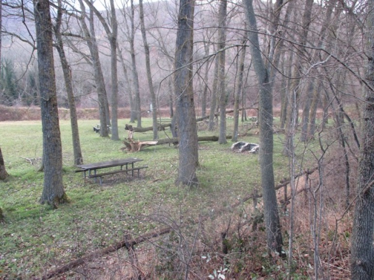 Raffiche di vento sradicano alberi a Castel di Sangro