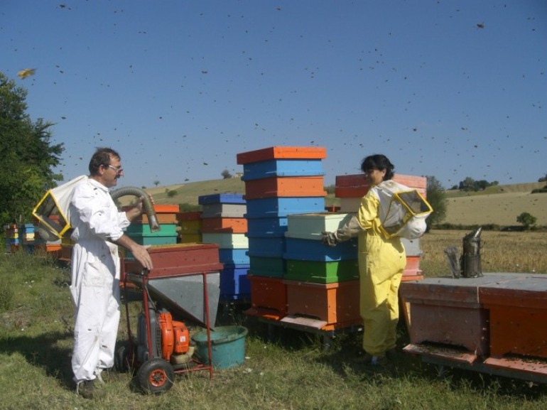 “Premio Qualità Abruzzo 2014”, vince l’apicoltura Finocchio di Tornareccio