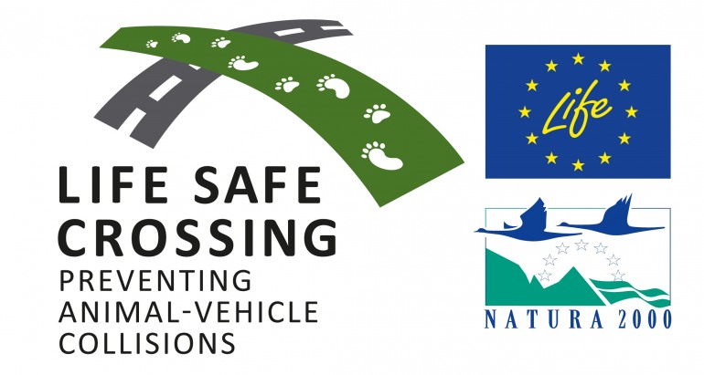 Pescasseroli, presentazione di “Life Safe Crossing”: come ridurre il rischio d’investimenti della fauna selvativa