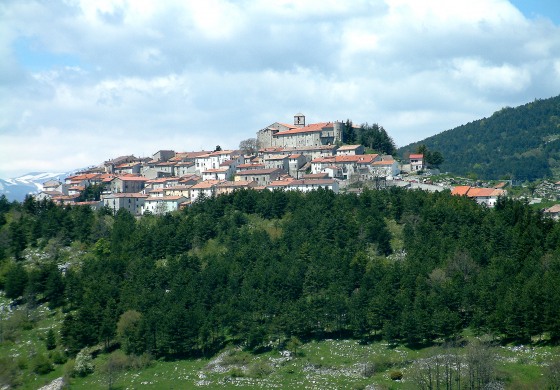 'Convivere con l'orso bruno marsicano in Alto Molise', convegno a Vastogirardi