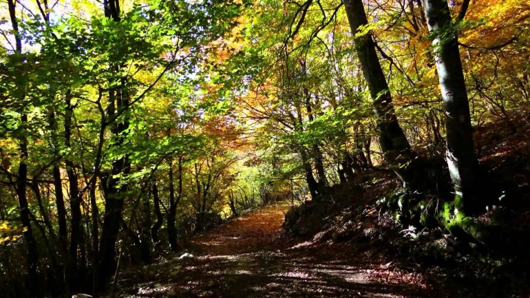 Altosangroescursioni, trekking su ventisei itinerari del Parco d’Abruzzo