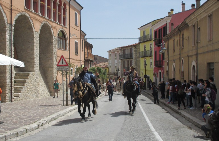 Transumanza d’Italia, i Colantuono riportano la mandria di 300 buoi a Frosolone