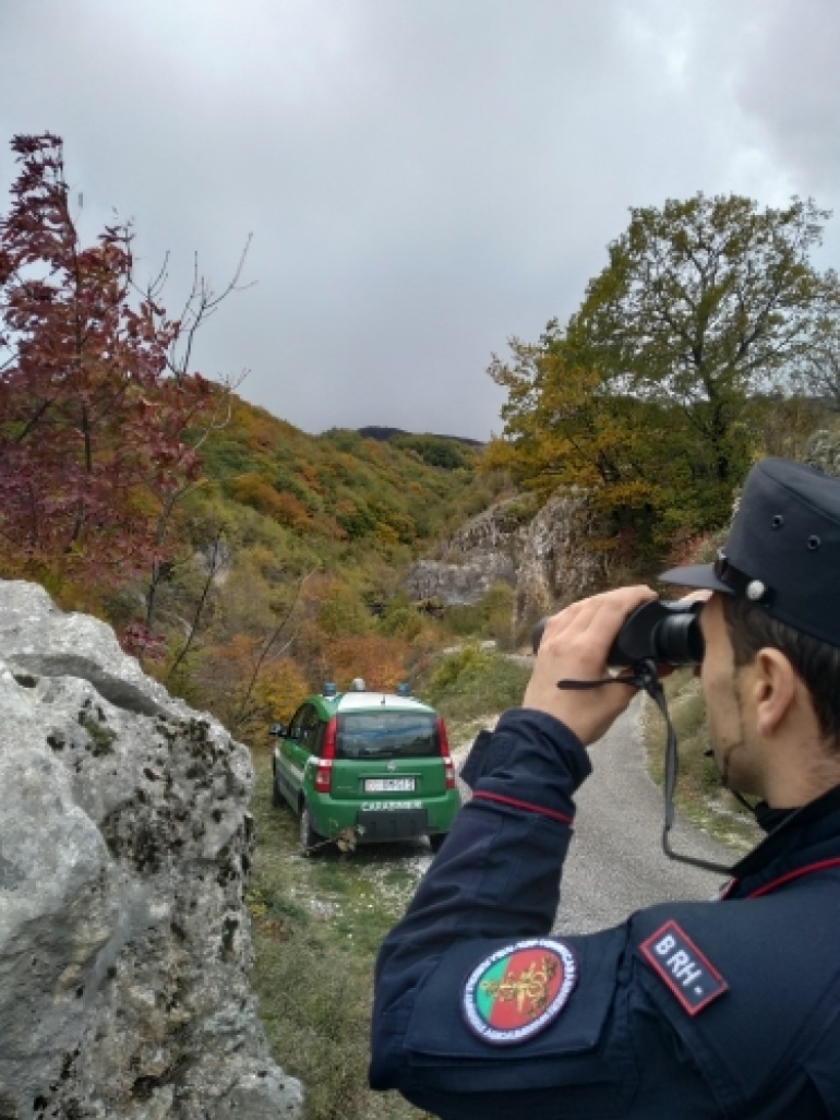 Uccidono un capriolo: due bracconieri scoperti e denunciati dai Carabinieri Forestali