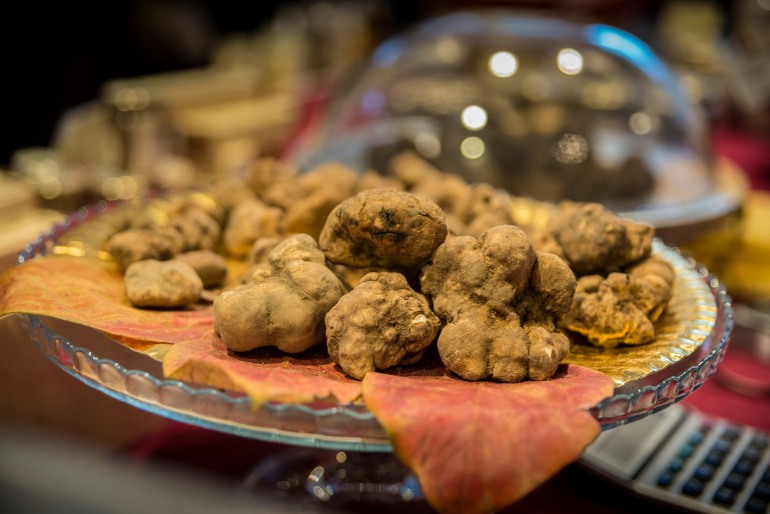 Il tartufo bianco di San Pietro Avellana a FICO Eataly World