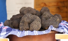 Analisi sensoriale del tartufo nero a San Pietro Avellana, diretta dell'Associazione Nazionale Città del Tartufo