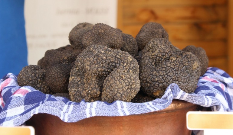 Analisi sensoriale del tartufo nero a San Pietro Avellana, diretta dell’Associazione Nazionale Città del Tartufo