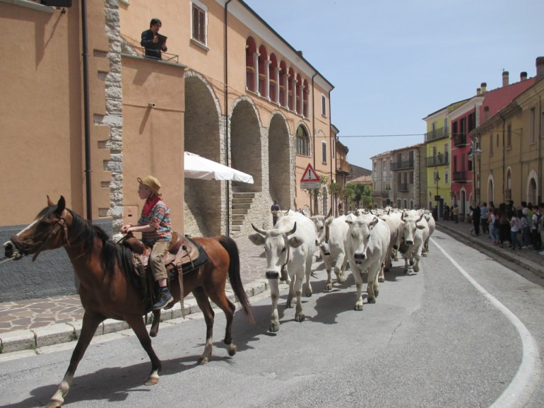 Transumanza molisana, crowdfunding per sostenere una tradizione che il mondo ci invidia