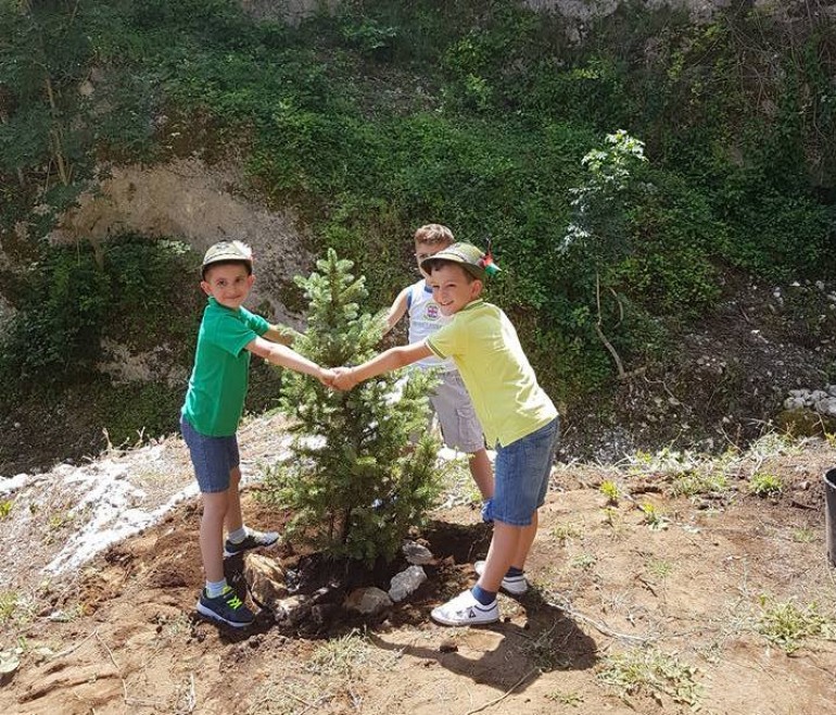 “Un albero, un bambino”, la festa della vita