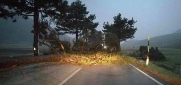 Traffico in tilt, il vento sradica alberi sul Piano delle Cinquemiglia e a Castel di Sangro