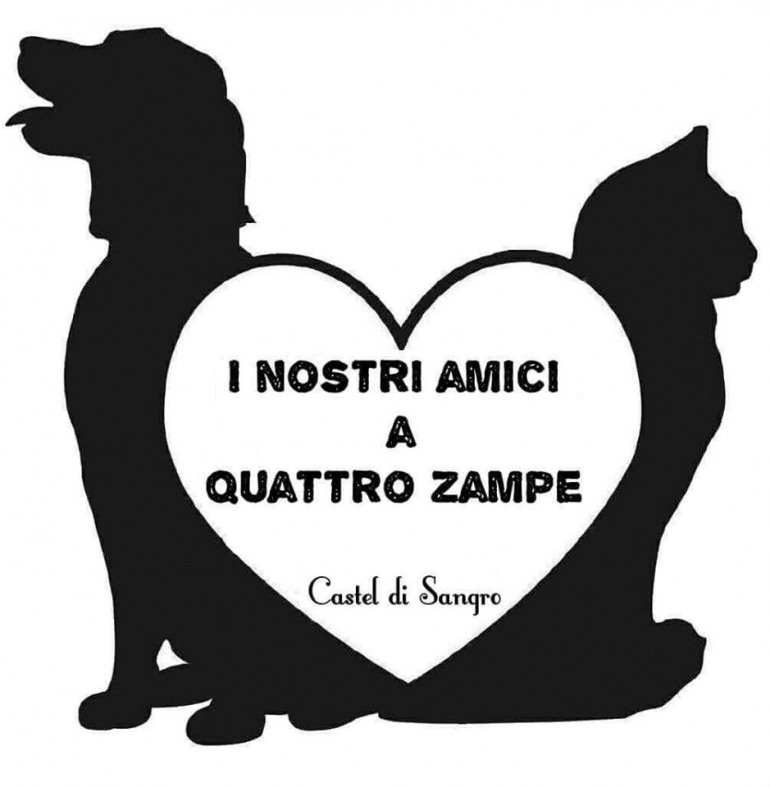 Castel di Sangro, aiutiamo cani e gatti abbandonati: colletta alimentare, 20 e 21 agosto