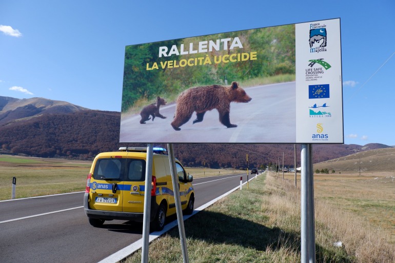 Parco Nazionale della Majella e Anas, impedire incidenti con animali selvatici