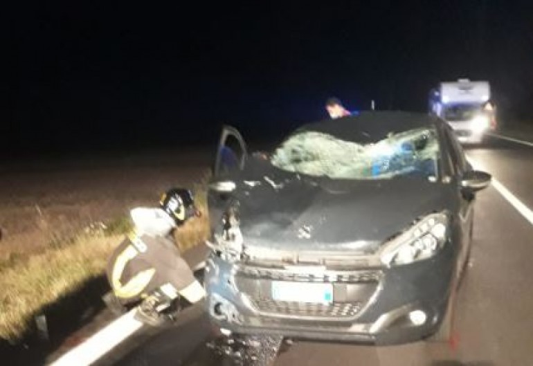 Incidente sul Piano delle Cinquemiglia, automobilista investe un cervo: grave il passeggero